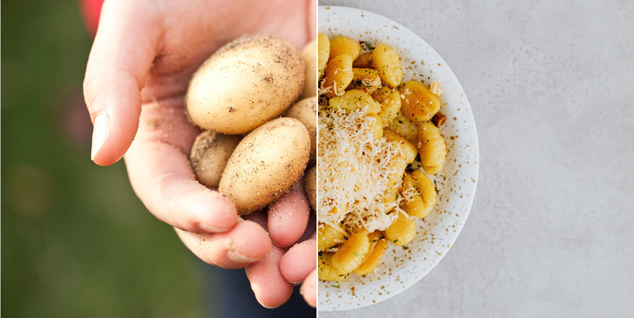 La Patata di Montescudo